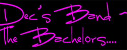 The Bachelors with Con and Dec in concert